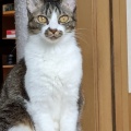 振り返ると　なつ