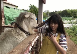 一部変なのあり？！ 乃木坂46メンバーと動物の画像ｗｗｗｗｗ