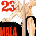 【BLEACH】斑目一角の斬魄刀の謎、今もって解明されていない・・・