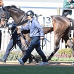 酒と競馬と写真～ドライアイス～