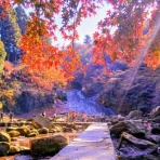 tomiura414のblog　ソロ登山家フム君の海と山の別荘日記