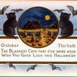 『【さけダイアリー】10月20日~10月26日 今週の予定』の画像