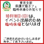 NPO法人みなしご救援隊犬猫譲渡センター東京支部のblog