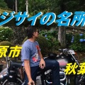 紫陽花の名所【秋葉公園】へ行ってきたが…