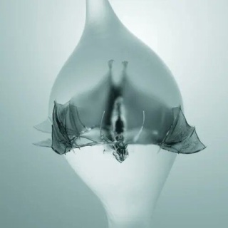 喜怒音楽 -きどおとらく-