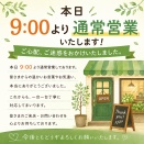 ご不便をおかけしました。今日は通常営業しております。