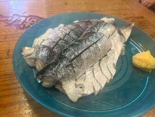 13時から昼飲み！中央卸売市場の魚屋さんが営むアットホーム酒場。　うおしん　千鳥橋