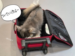 おでかけ。と、車内のテーブル