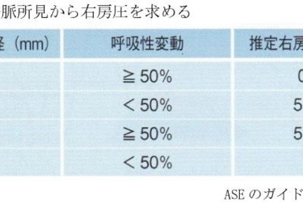 ワイのリハメモ 2016