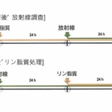 『ホチェ複合リン脂質、放射線被ばく非臨床試験で生存率を50％向上』の画像