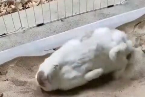 うのくらし ホリホリ