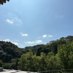 姫柴な毎日