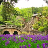 『『2023 菅原神社の眼鏡橋とカキツバタ①』岡山県笠岡市』の画像