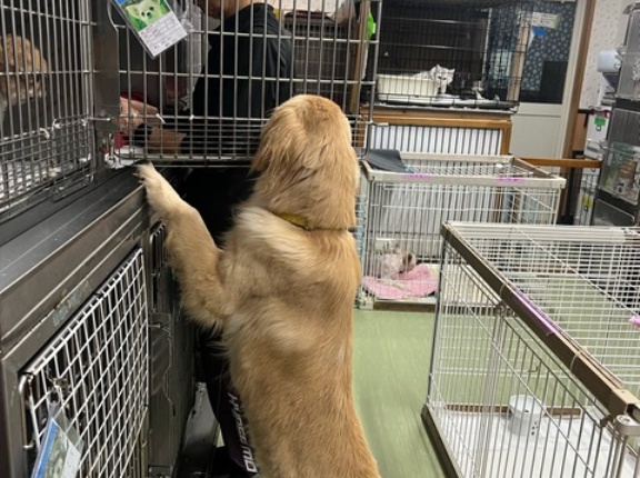 今日もお疲れ様です😸💓👌🐶