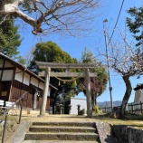 『【明日香村御園】大字・御園の氏神様 高皇産霊神と菅原道真公が祀られた天神社』の画像