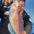 今日の釣果１５日