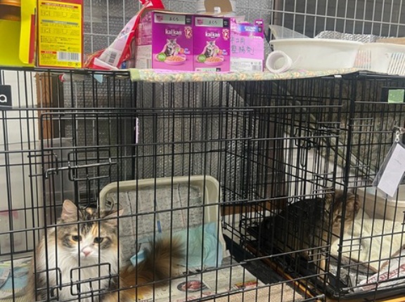 昨夜送信忘れていた記事です😅💦