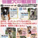 7月5日は、保護犬の譲渡会