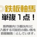 (日)◎鉄板軸馬