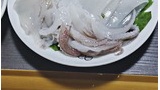釣ったケンサキイカの刺身食べるぞｗｗｗ（※画像あり）
