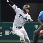 虎速
