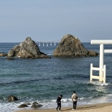 『 🥗 草生活の女、糸島に救われる。〜糸島ドレッシングの魅力〜』の画像