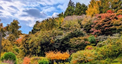 夜中の咳が苦しい～肺炎球菌感染症でした