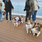 メロディ＆ミニーの写真館