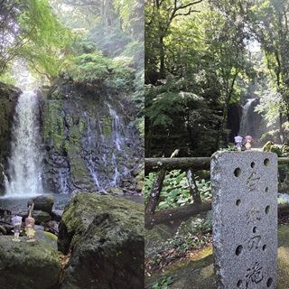 腹パン情報2-フィーナちゃんと14年目？