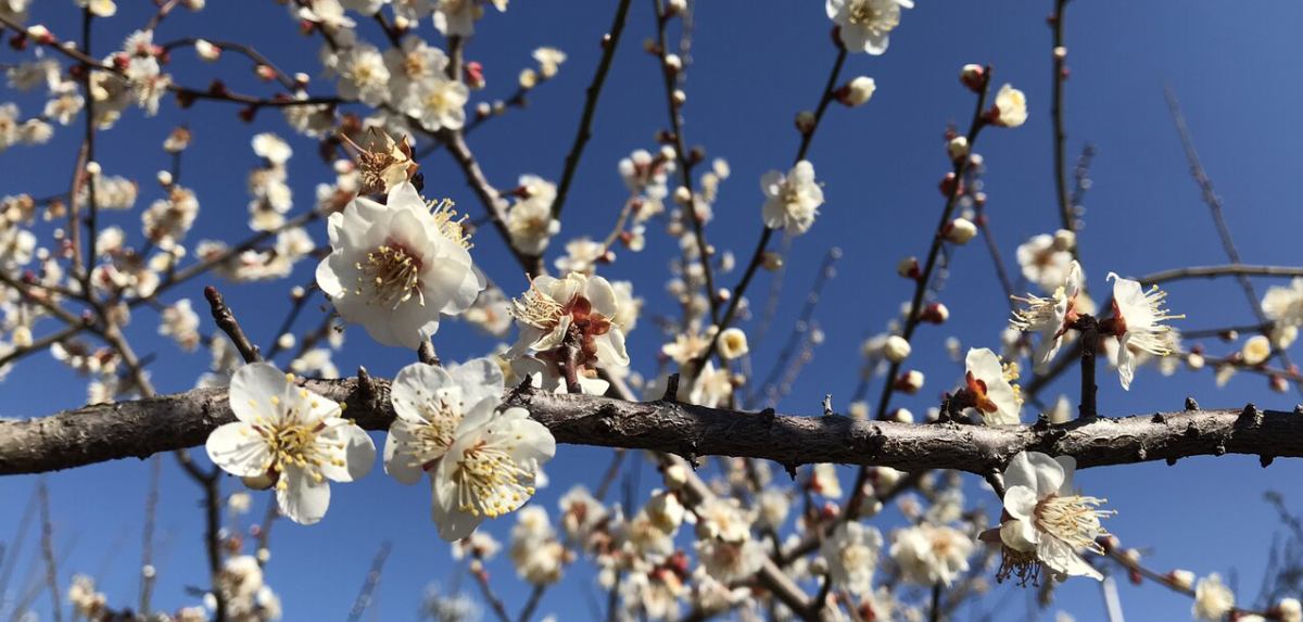 ニシザキ工芸(株)塗装部　工房日誌 2 イメージ画像