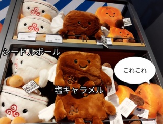 帰宅とフランスの通常営業ストライキ
