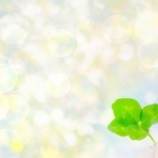 『私の願いは、まるごと愛すること、赦すこと』の画像