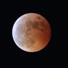 『投稿：三者三様の皆既月食＆月齢1.4　2022/11/26』の画像