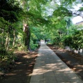 2024-06-19の興禅院