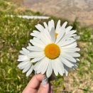 自己紹介𖦹‎' ‐ '𖦹‎‎