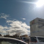 エゴマ・ベンガルの風にのって