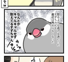 初めての怒り方