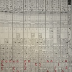 2100年まで生きられるかどうかを検証！！