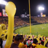 『立浪和義は、金本知憲や井口資仁みたいにならないか？』の画像