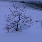 ���ߤ��ؤ�ش�������١٤β���