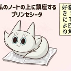 セニョリータかめのバルセロナ生活