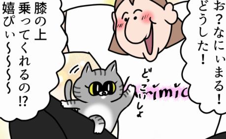 猫が膝の上に来てくれたけど