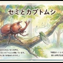 セミとカブトムシ