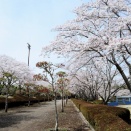 菅尾駅から六字名号・柴山八幡社・千歳運動公園を経て新殿へ (後編)