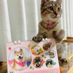 かぼすちゃんとおさんぽ。