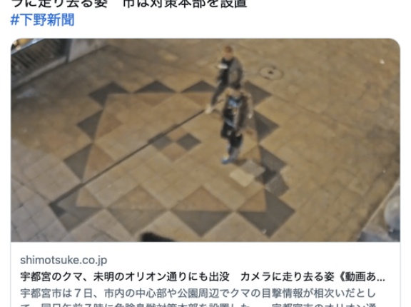【動画】クマ、ついに東武宇都宮駅近くの繁華街にまで到達