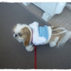 いつまでも一緒だよ♪