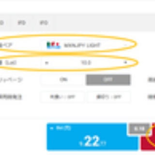 為替王