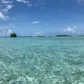 �鳤�������ӥ󥰡���ή����ˤ��ä����