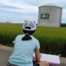 夏休みの宿題